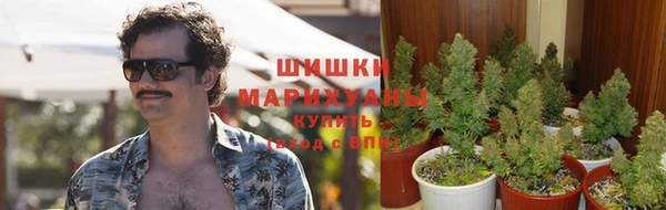 стаф Корсаков