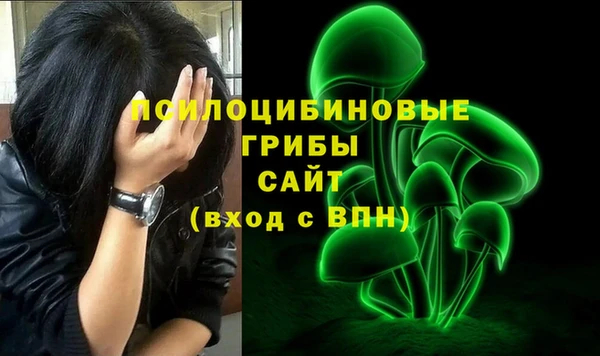 мяу мяу мука Алексеевка